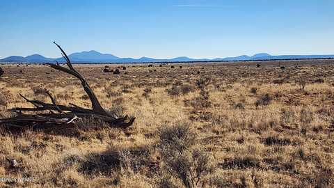 932 E Princeton Avenue, Williams, AZ 86046