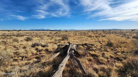929 E Princeton Avenue, Williams, AZ 86046