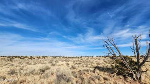 3067 S Dartmouth Street, Williams, AZ 86046