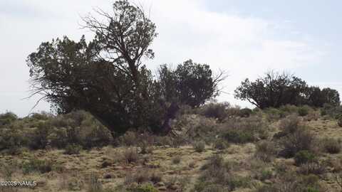 64 S Laguna Drive, Williams, AZ 86046