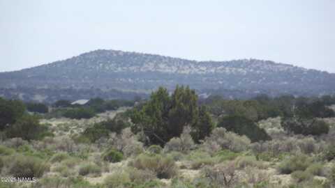 3020 Rudy Road, Williams, AZ 86046