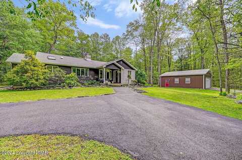 Mushroom, ALBRIGHTSVILLE, PA 18210