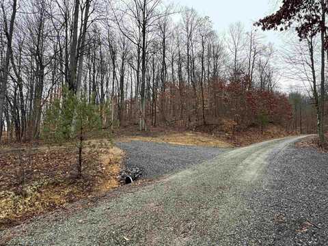 TRACT 9B ISNER Run, Elkins, WV 26241