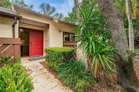 Buttonbush, PALM HARBOR, FL 34684