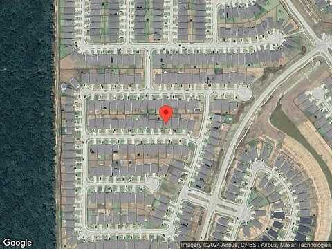 Willow Tree, NEW CANEY, TX 77357