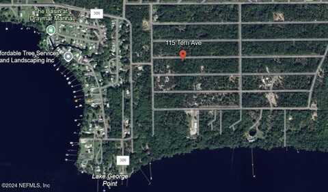 116 TERRI Avenue, Georgetown, FL 32139