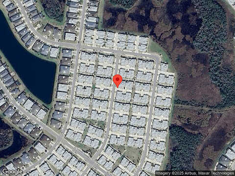 Parrot, DAYTONA BEACH, FL 32124