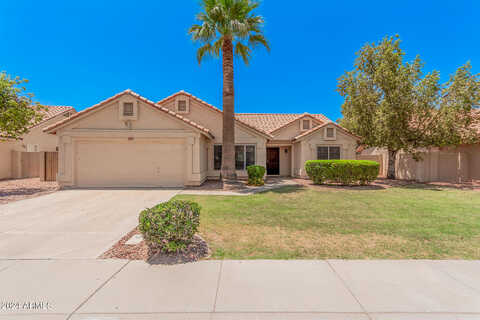 Acacia, CHANDLER, AZ 85248