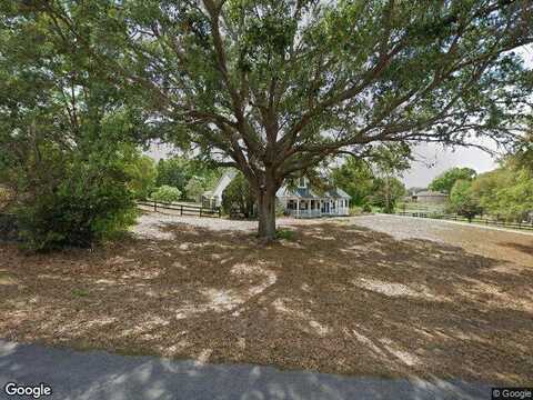 Thoroughbred, MONTVERDE, FL 34756