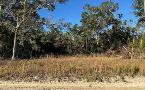 TBD SW WINGATE ST-LOT 12, Columbia City, FL 32024