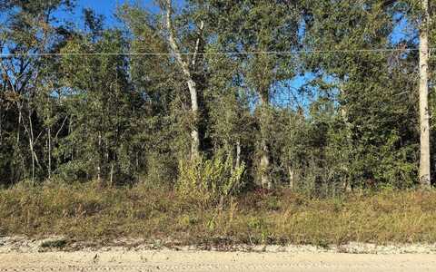 TBD SW WINGATE ST-LOT 11, Columbia City, FL 32024