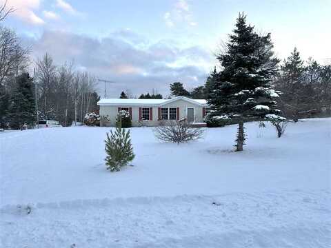 6740 E Bogardus, Pellston, MI 49769