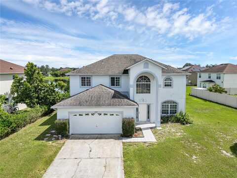 Ficus Tree, KISSIMMEE, FL 34758