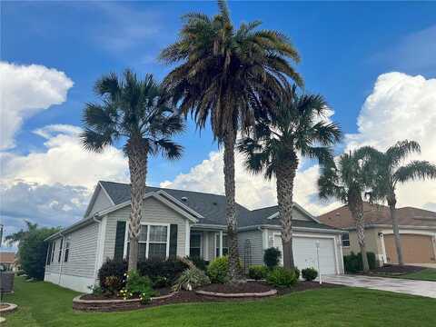 Day Lily, THE VILLAGES, FL 32162