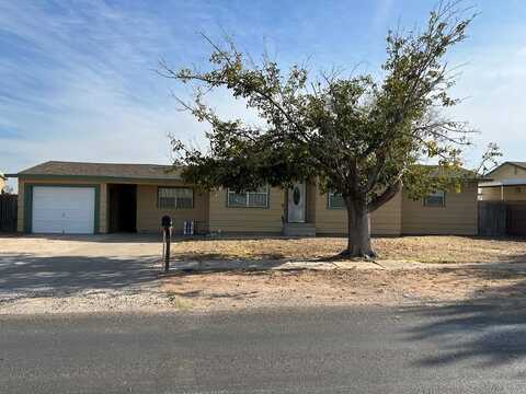 1407 S McElroy, Crane, TX 79731