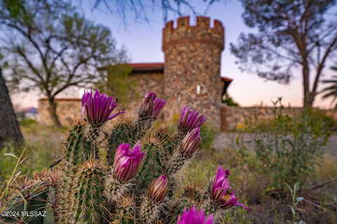 Sweetwater, TUCSON, AZ 85745