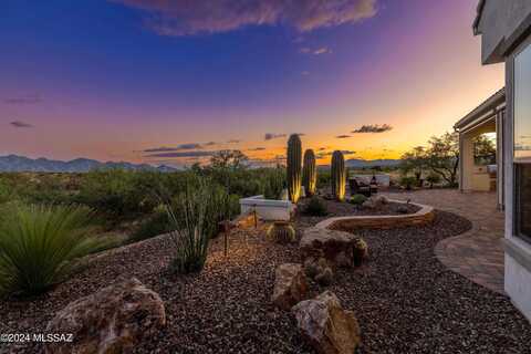 Egret, ORACLE, AZ 85623