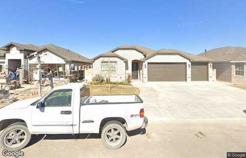 Mountain Quail, MIDLAND, TX 79705