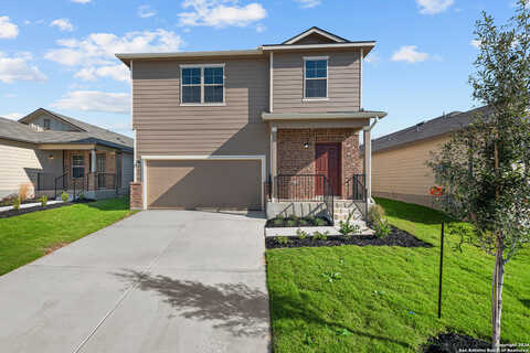 Winston, NEW BRAUNFELS, TX 78130