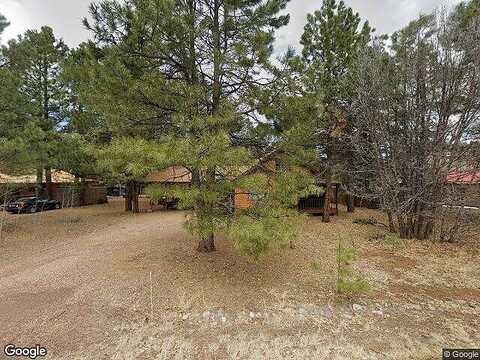 Black Panther, PINETOP, AZ 85935