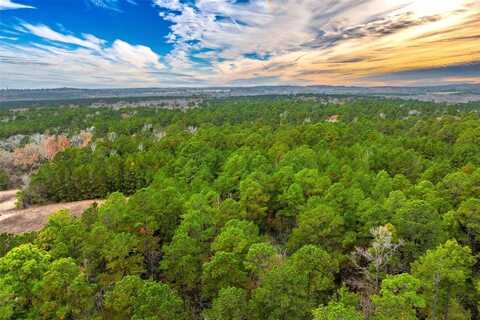 0 Anderson County Road 140, Palestine, TX 75839