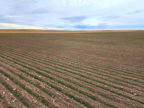 TBD County Road 8, Harrisburg, NE 69345