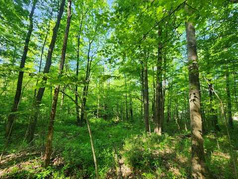 1.1 Marsh Rd., Erin, NY 14838
