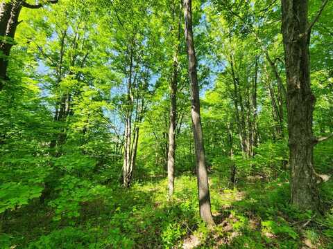1.2 Marsh Rd., Erin, NY 14838