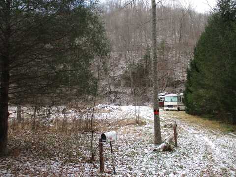 4818 Upper Little Birch Rd, Sutton, WV 26601