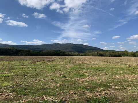 0 Reliance Road, Tellico Plains, TN 37385