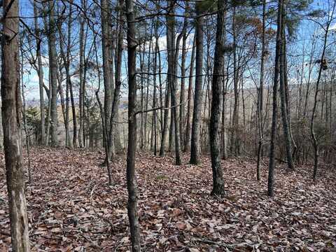 0 County Road 483, Collinsville, AL 35961