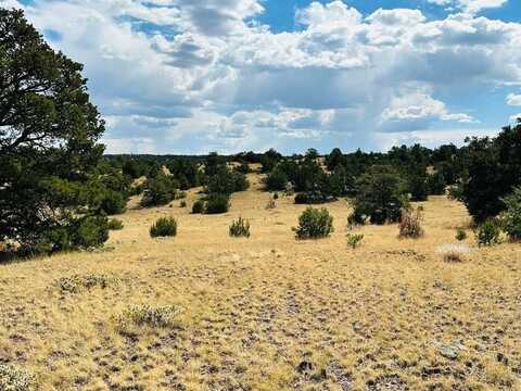 xx Powerline, Quemado, NM 87829