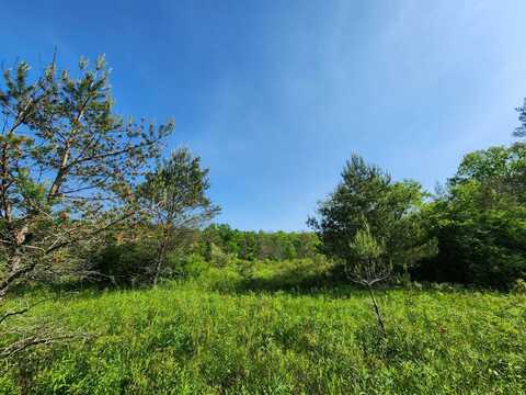 1.6 Marsh Rd., Erin, NY 14838