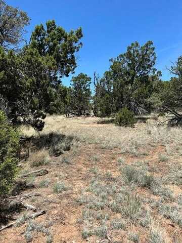 55 Elk Tr, Pie Town, NM 87827