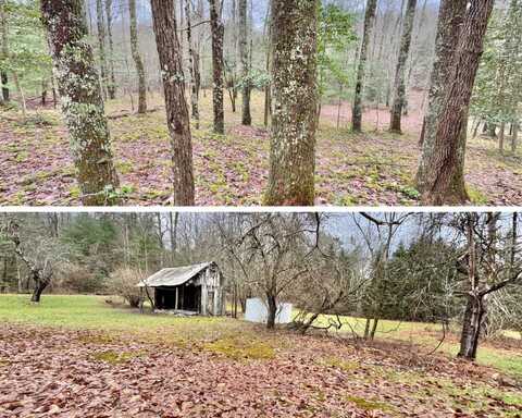 14039 Alexander Rd, French Creek, WV 26218