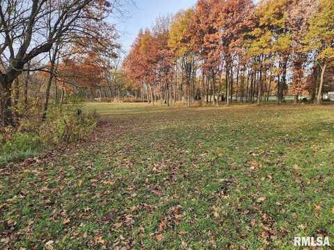 Lot 318,325 & 3 W 19TH Avenue, Coal Valley, IL 61240