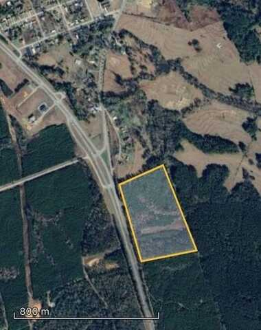 0 Hwy 231, Brundidge, AL 36010