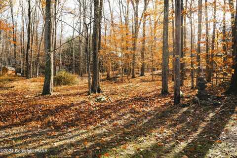 256 Owassa Drive, Pocono Lake, PA 18347