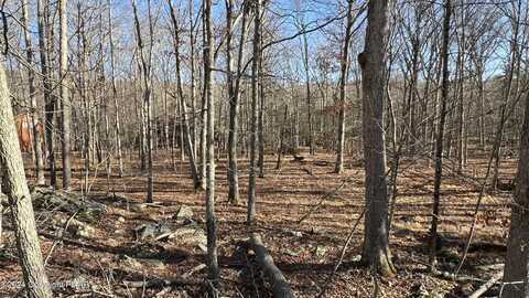 Lot 282 Saunders Court, Bushkill, PA 18324