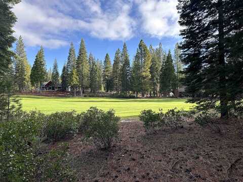 73 Idylberry Drive, Lake Almanor, CA 96137