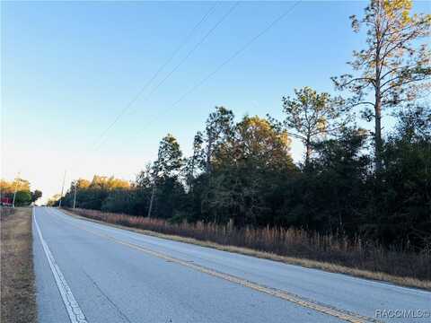 Tbd SW Marine Boulevard, Dunnellon, FL 34431