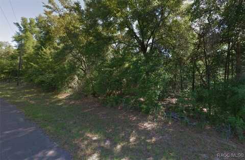 2031 W Beach Plum Drive, Citrus Springs, FL 34434