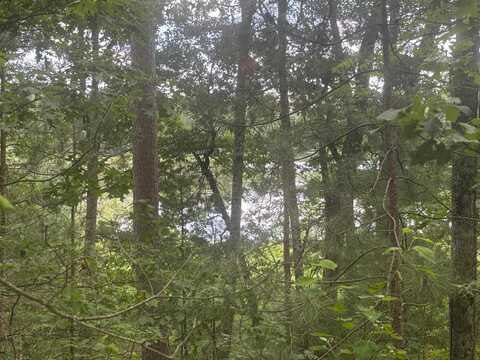 BENNETT Road, AMBERG, WI 54102