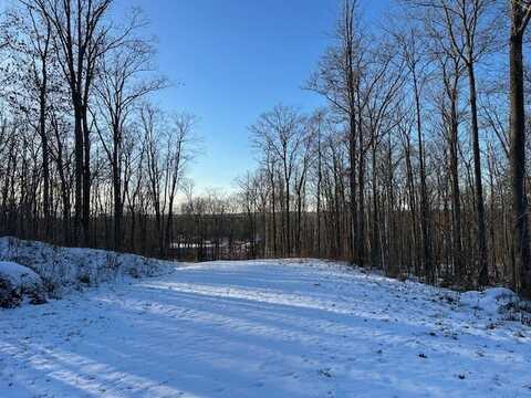 Lot 12 Birken Trail Road, Hayward, WI 54843