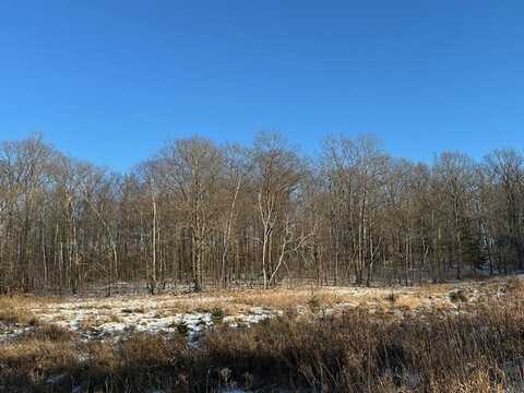 Lot 13 Birken Trail Road, Hayward, WI 54843