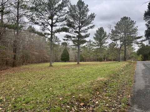 00 Goodfield Creek Road, Decatur, TN 37322