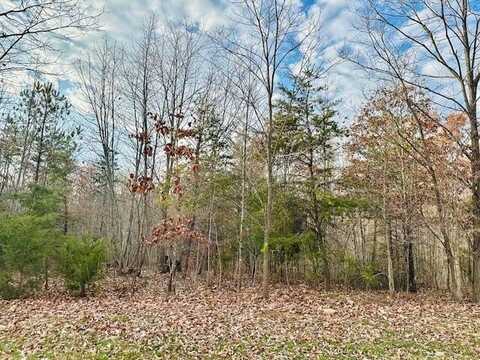 Lot 8 Waterford DR, Moneta, VA 24121