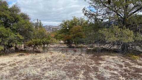 Unit 5 Lot 95 Greenfinch Way, Hornbrook, CA 96044