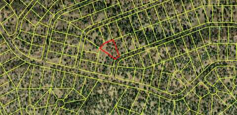 Block 24 Lot 10 Tzama Division, Tierra Amarilla, NM 87575