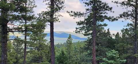 Ely Cabins B7, Angel Fire, NM 87710